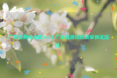 廣東省測繪資質(zhì)2018（廣東省測繪資質(zhì)審換證培訓(xùn)）