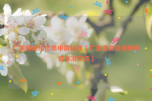 廣東省測繪資質(zhì)申請標(biāo)準(zhǔn)（廣東省測繪資質(zhì)申請標(biāo)準(zhǔn)文件）