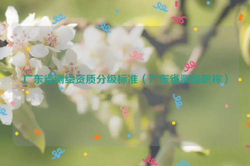 廣東省測(cè)繪資質(zhì)分級(jí)標(biāo)準(zhǔn)（廣東省測(cè)繪職稱）