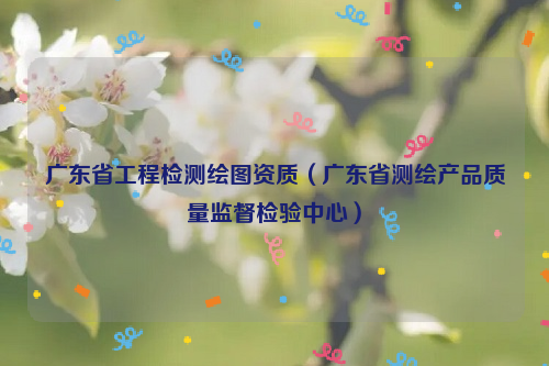 廣東省工程檢測繪圖資質(zhì)（廣東省測繪產(chǎn)品質(zhì)量監(jiān)督檢驗中心）