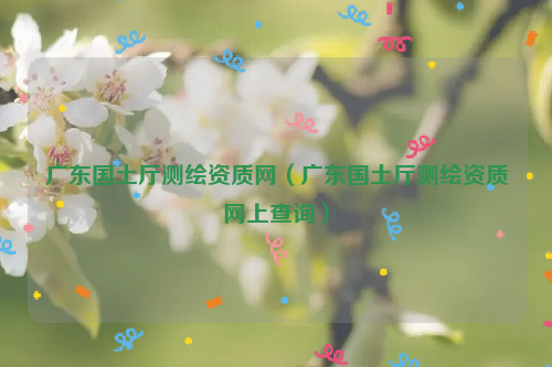 廣東國土廳測繪資質(zhì)網(wǎng)（廣東國土廳測繪資質(zhì)網(wǎng)上查詢）