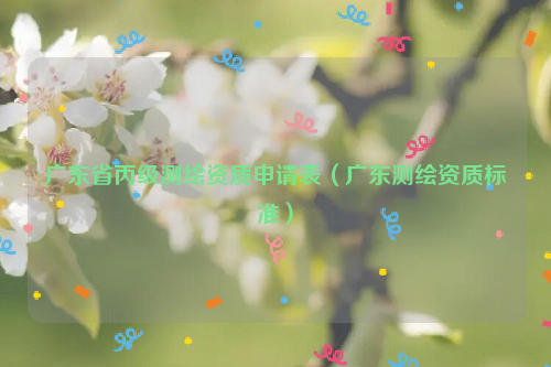 廣東省丙級(jí)測(cè)繪資質(zhì)申請(qǐng)表（廣東測(cè)繪資質(zhì)標(biāo)準(zhǔn)）