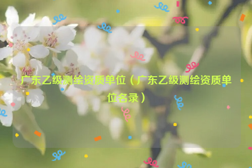 廣東乙級(jí)測(cè)繪資質(zhì)單位（廣東乙級(jí)測(cè)繪資質(zhì)單位名錄）