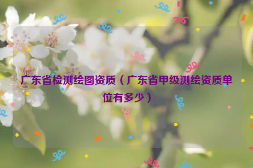 廣東省檢測(cè)繪圖資質(zhì)（廣東省甲級(jí)測(cè)繪資質(zhì)單位有多少）