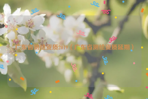 廣東省測繪資質(zhì)2019（廣東省測繪資質(zhì)延期）