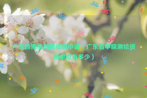 廣東省測(cè)繪丙級(jí)資質(zhì)申請(qǐng)（廣東省甲級(jí)測(cè)繪資質(zhì)單位有多少）